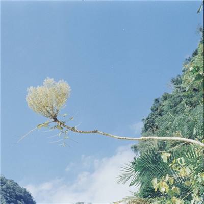 宅三国游戏