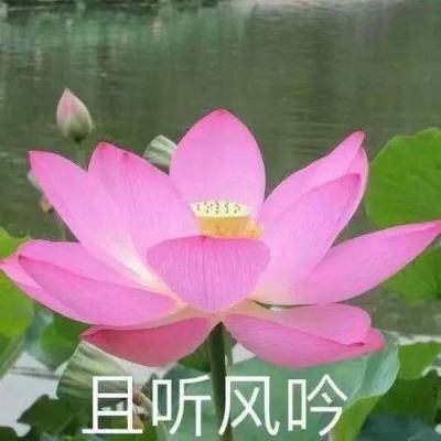 梦汐缘游戏下载